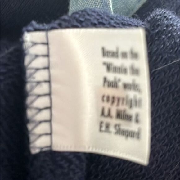Walt Disney World Winnie The Pooh Navy Hoodie with Embroidered Detail SZ XL - Picture 8 of 9